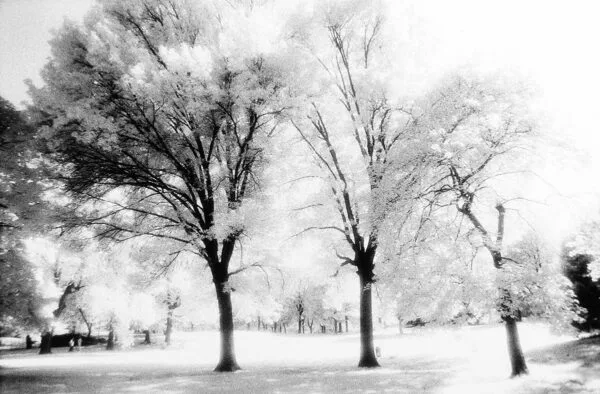 Central Park NYC #01