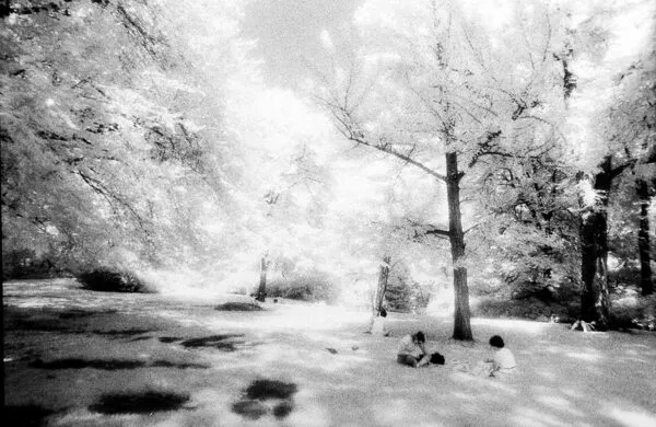 Central Park NYC #02